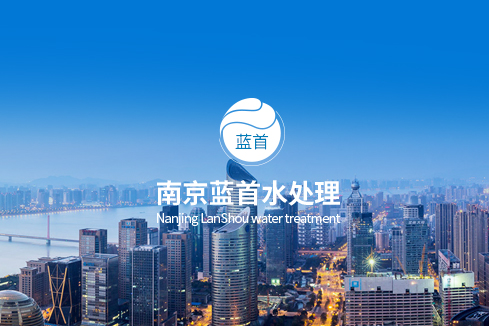 旺苍建站-南京蓝首水处理设备有限公司